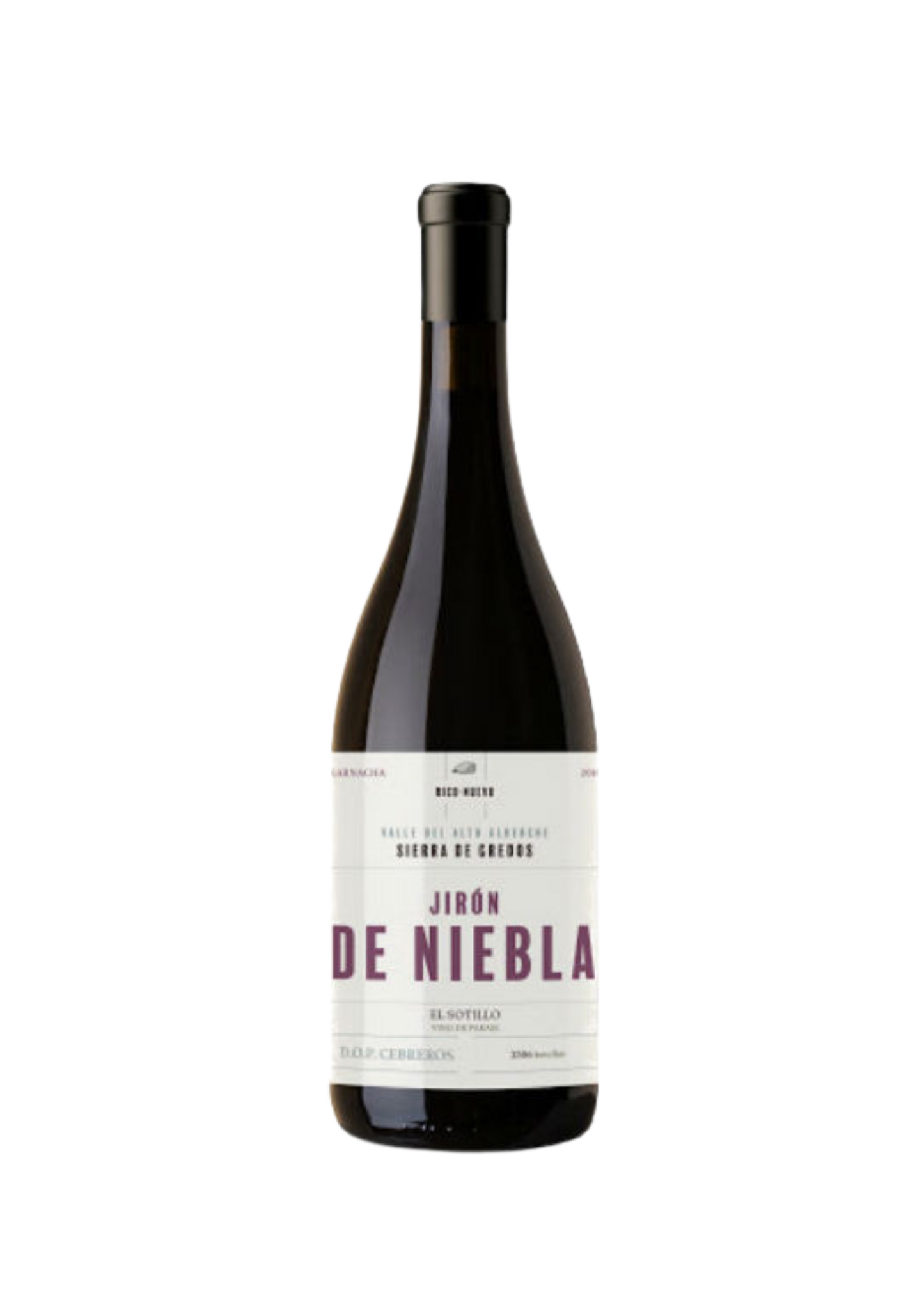 Jirón de Niebla 2020